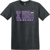 Old Bridge Jr. Knights Softstyle T-Shirt