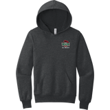 Wash U Youth Sponge Fleece Pullover Hoodie