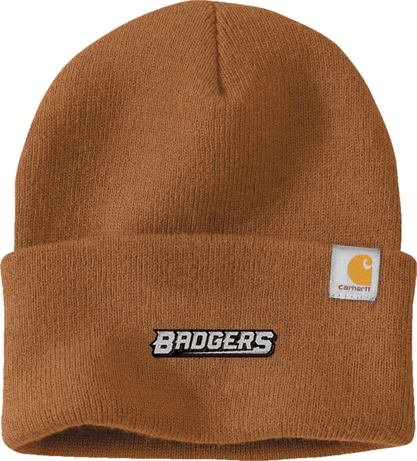 Allegheny Badgers Carhartt Watch Cap 2.0