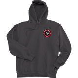 South Pittsburgh Rebellion Ultimate Cotton - Pullover Hooded Sweatshirt